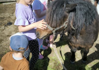 Miért fontos a szabad játék a gyerekek fejlődésében? – Élmények Debrecen környékén egy tanyán