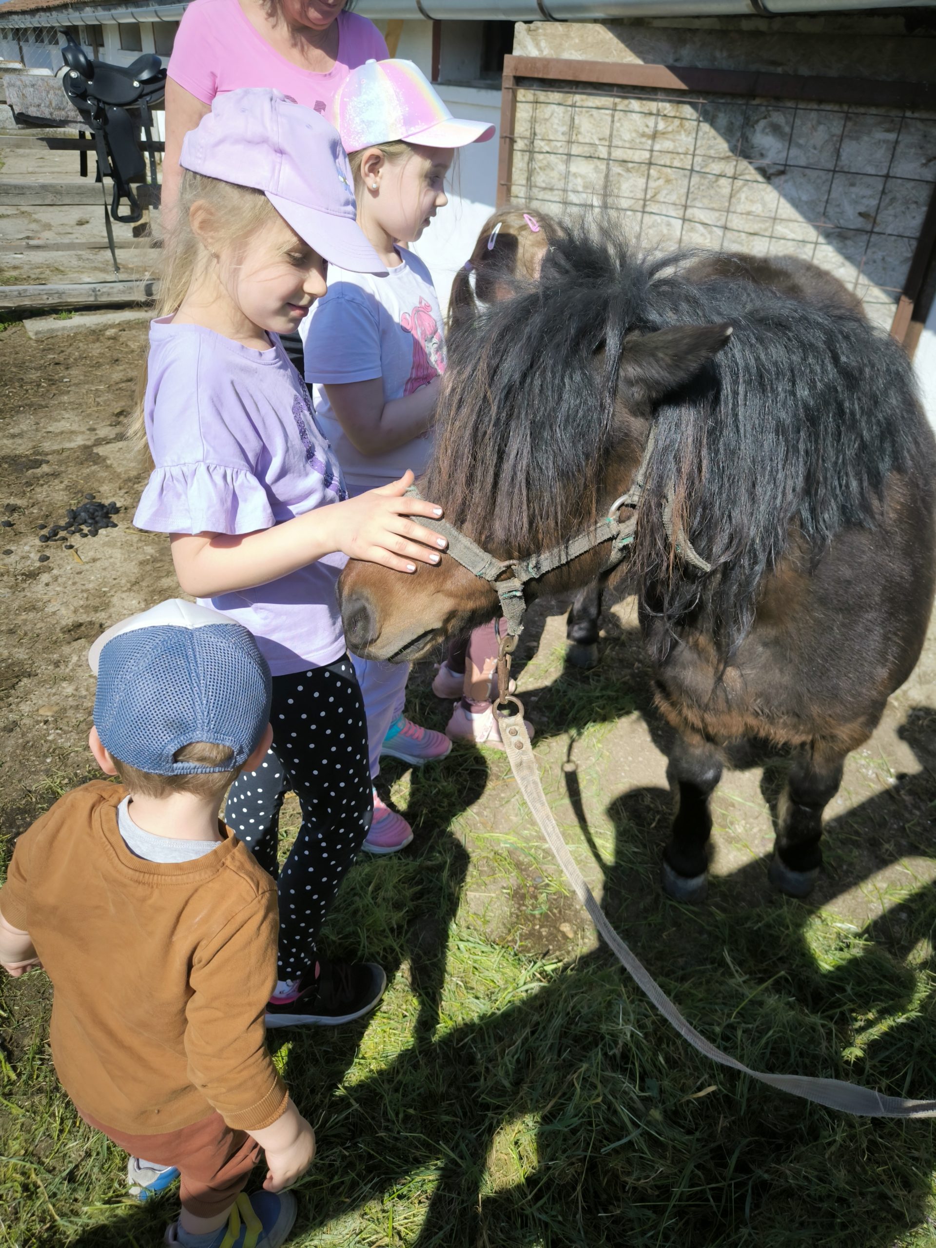 Miért fontos a szabad játék a gyerekek fejlődésében? – Élmények Debrecen környékén egy tanyán